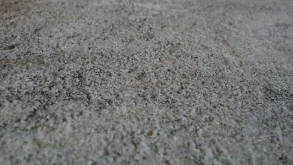 Muro
