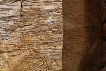 Old Oak Split Log High Relief