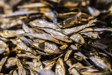 background of  golden  smoke-dried  fish close up