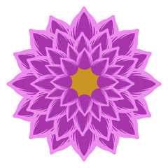 Isolated colored flower