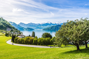 Fototapeta na wymiar Obstbaum, Alpen und Vierwaldstättersee, Schweiz, Europa