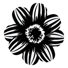 Isolated flower silhouette