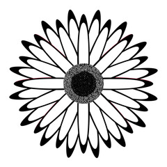 Fototapeta premium Isolated flower silhouette