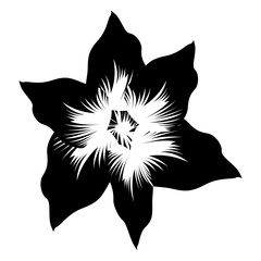 Isolated flower silhouette