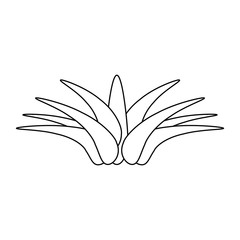 isolated savila plant icon vector illustration graphic design