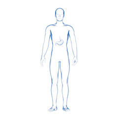 Human Stomach, Medical Illustration