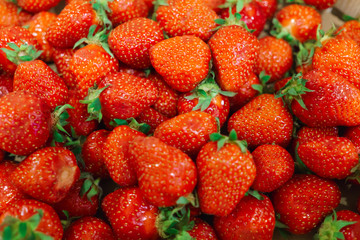 Fresh ripe strawberry in a box.
