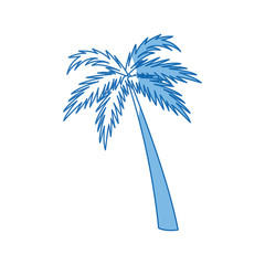 palm tree natural tropical botanical vector illustration