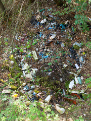 plastic metal and glass garbage scattered in the woods