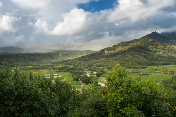 Obraz premium Hanalei valley from Princeville overlook Kauai