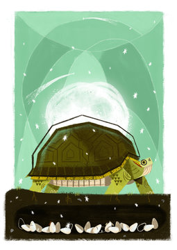 tortoise