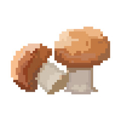 Pixel mushrooms for games and applications