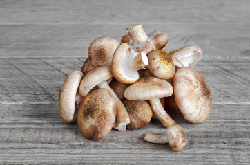 Uncooked fresh mushrooms on grey wooden background