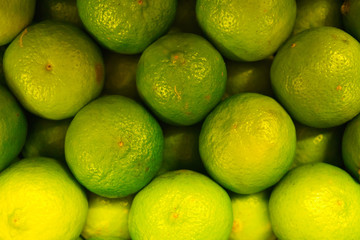 Fresh apetitic limes, laid out in a box.