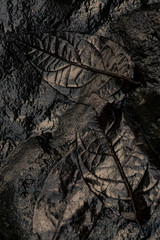 Dark Leaves
