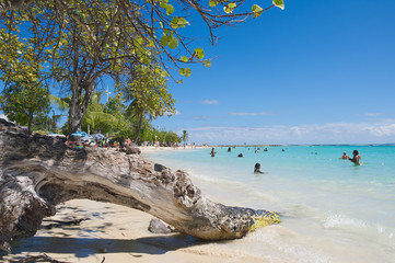 Tropical beach of Sainte Anne - Caribbean Sea - Guadeloupe tropical island