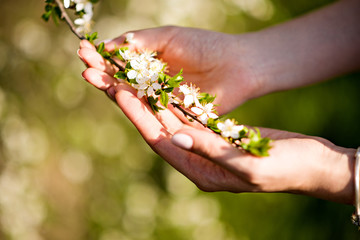 Hands of a young girl with flowers