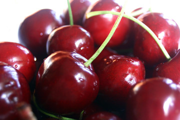Cherrys close up