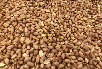 fresh roasted peanuts