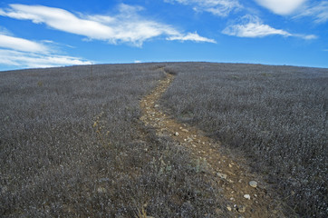 Fototapeta premium The trail to the top of the mountain.
