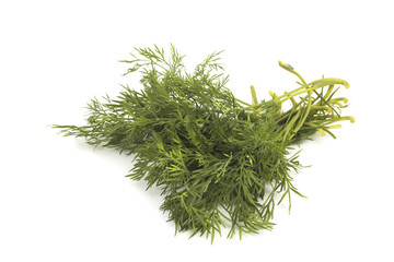 Green dill on white background