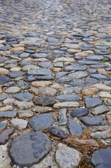 Fototapeta premium Cobblestone Street in French Quarter of Charleston
