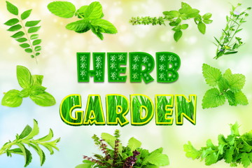 herb garden background