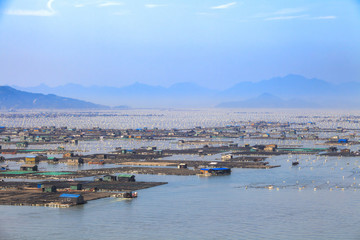 Fototapeta na wymiar Seafood fish farming,Fishery on sea, Fujiang, China.