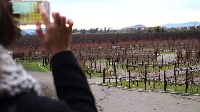 Girl taking a picture of Winery in Santiago, Chile