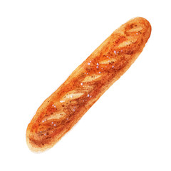 Colorful watercolor hand drawn baguette illustration of isolated on white background. Detailed Image bakery products, bread in vintage style.