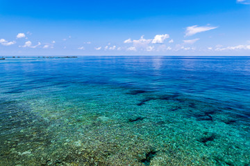 Fototapeta na wymiar Sea, reef. Okinawa, Japan, Asia.