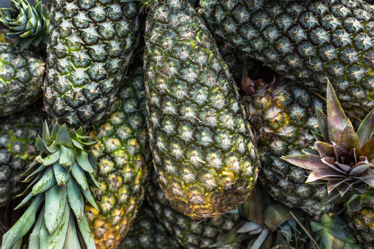 A buch of pinaples