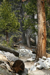 Hiking Path