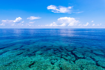 Sea, reef. Okinawa, Japan, Asia. - obrazy, fototapety, plakaty