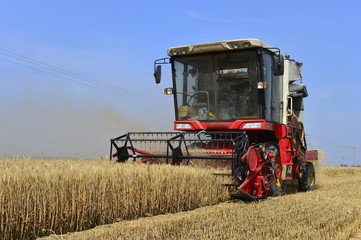 Harvester in wheat