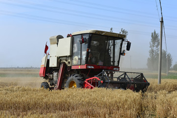 Fototapeta premium Harvester in wheat