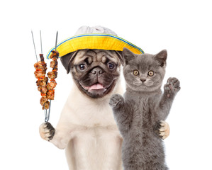 Kitten and puppy in summer hat with grilled meat on skewer. isolated on white background