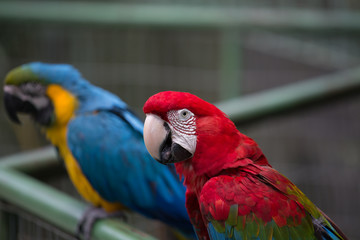 Guembe Biocenter, Guembe Mariposario near Santa Cruz, Bolivia