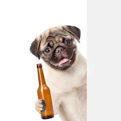 Dog with a beer bottle peeking behind white banner. isolated on white background