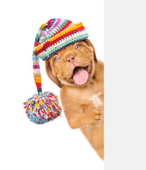 Happy puppy wearing a warm hat peeking from behind empty board. isolated on white background