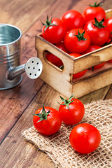 ミニトマト　イメージ