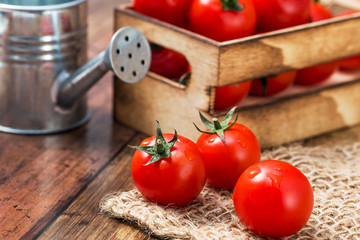 ミニトマト　イメージ