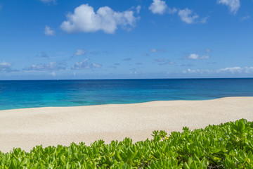 Tropical sandy beach in Hawaii