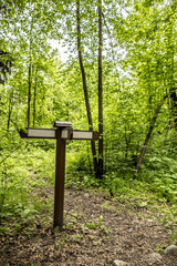 Wooden signpost with arrows beside the path in the summer forest.