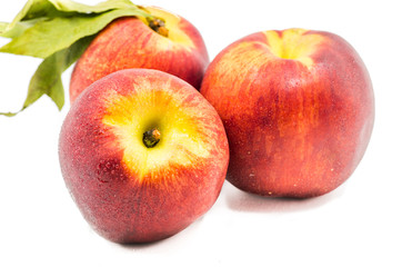 nectarine on the white background