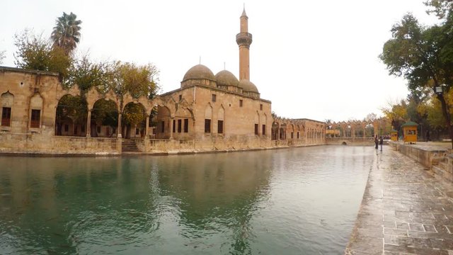 the sacred lake with carp in Sanliurfa, Turkey