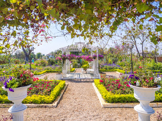 Flower garden is blossoming