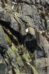 The texture of the rocks with snow in the mountains of Serra da Estrella. County of Guarda. Portugal