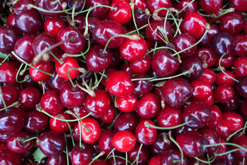 Cherry basket Sweet cherry background cherry with leaf