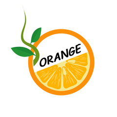Orange Fruit icons flat style, Vector Illustration.